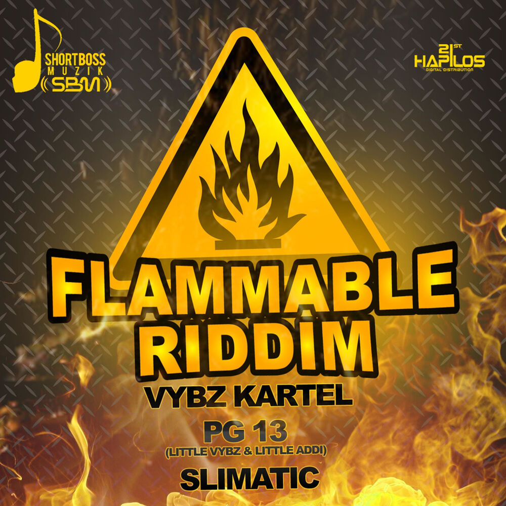 Picture of Flammable Riddim
