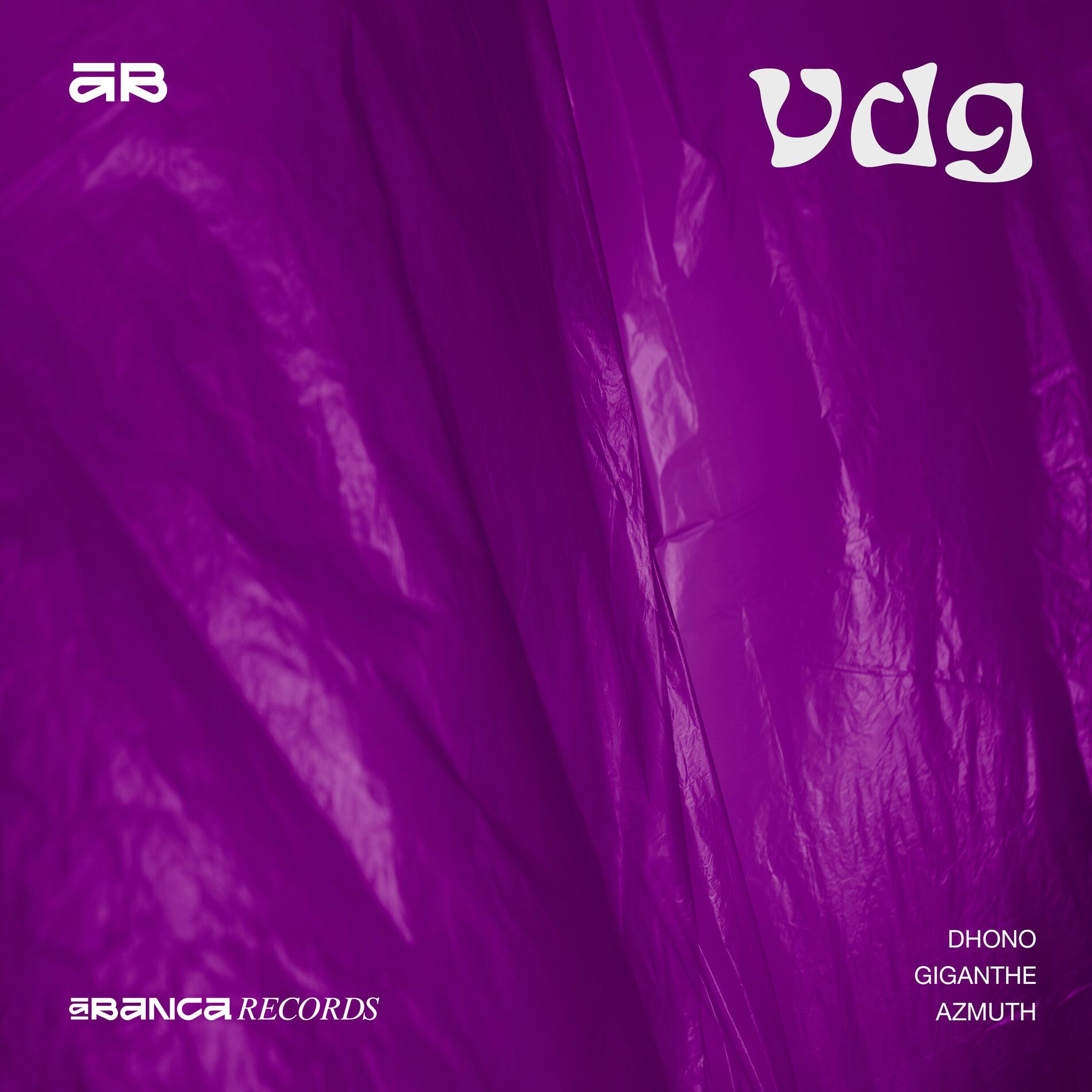 Album cover of Vdg