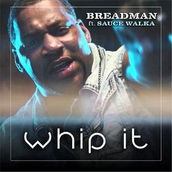 Cover of Whip It