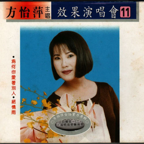 效果演唱會11