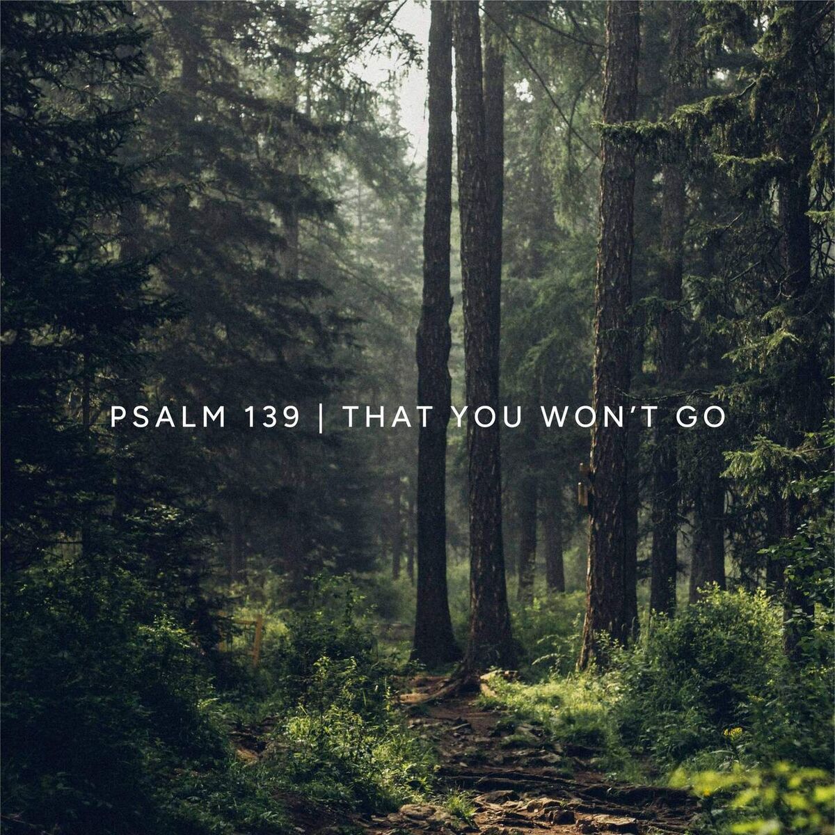 Album cover of Psalm 139 (That You Won't Go)