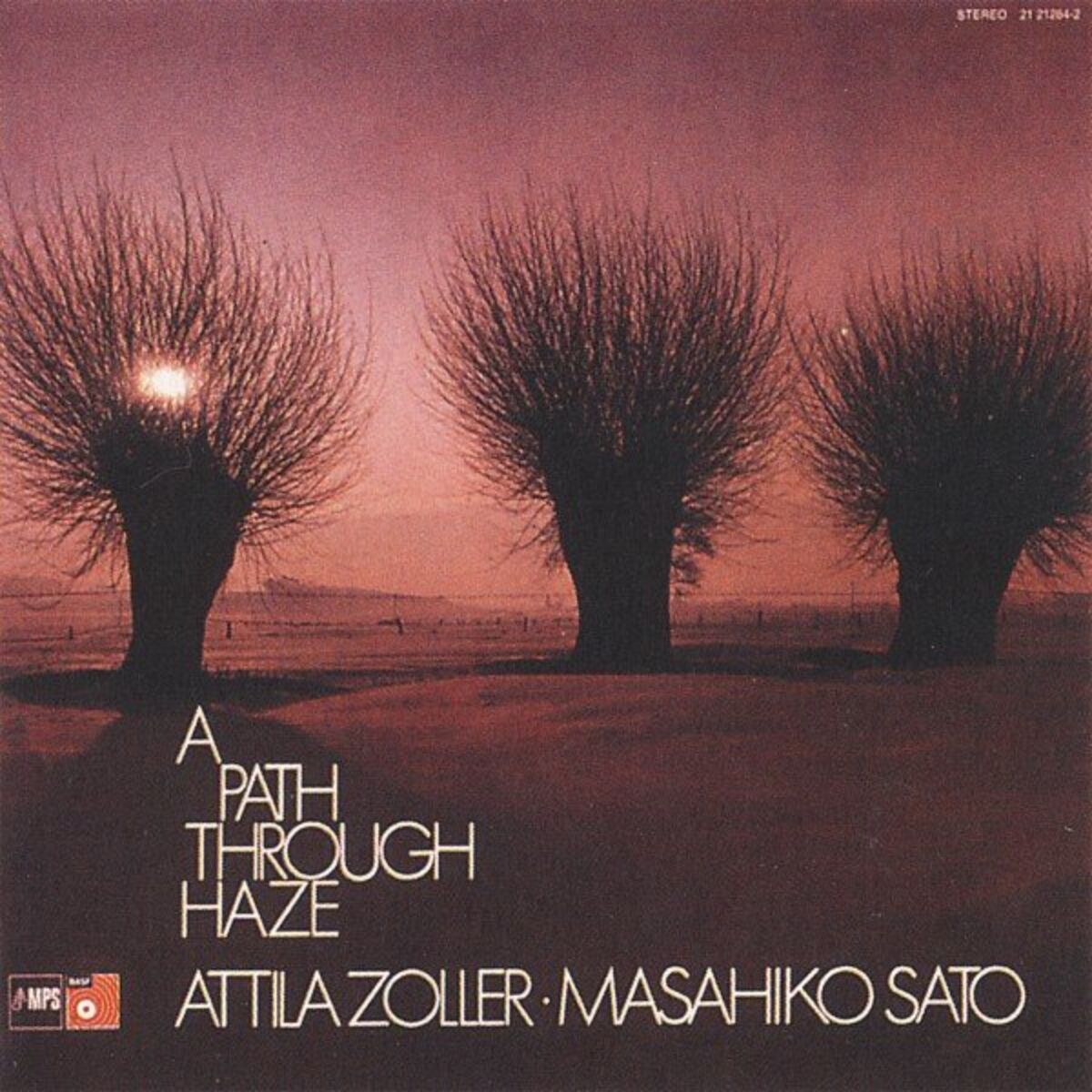 Album cover of A Path Through Haze