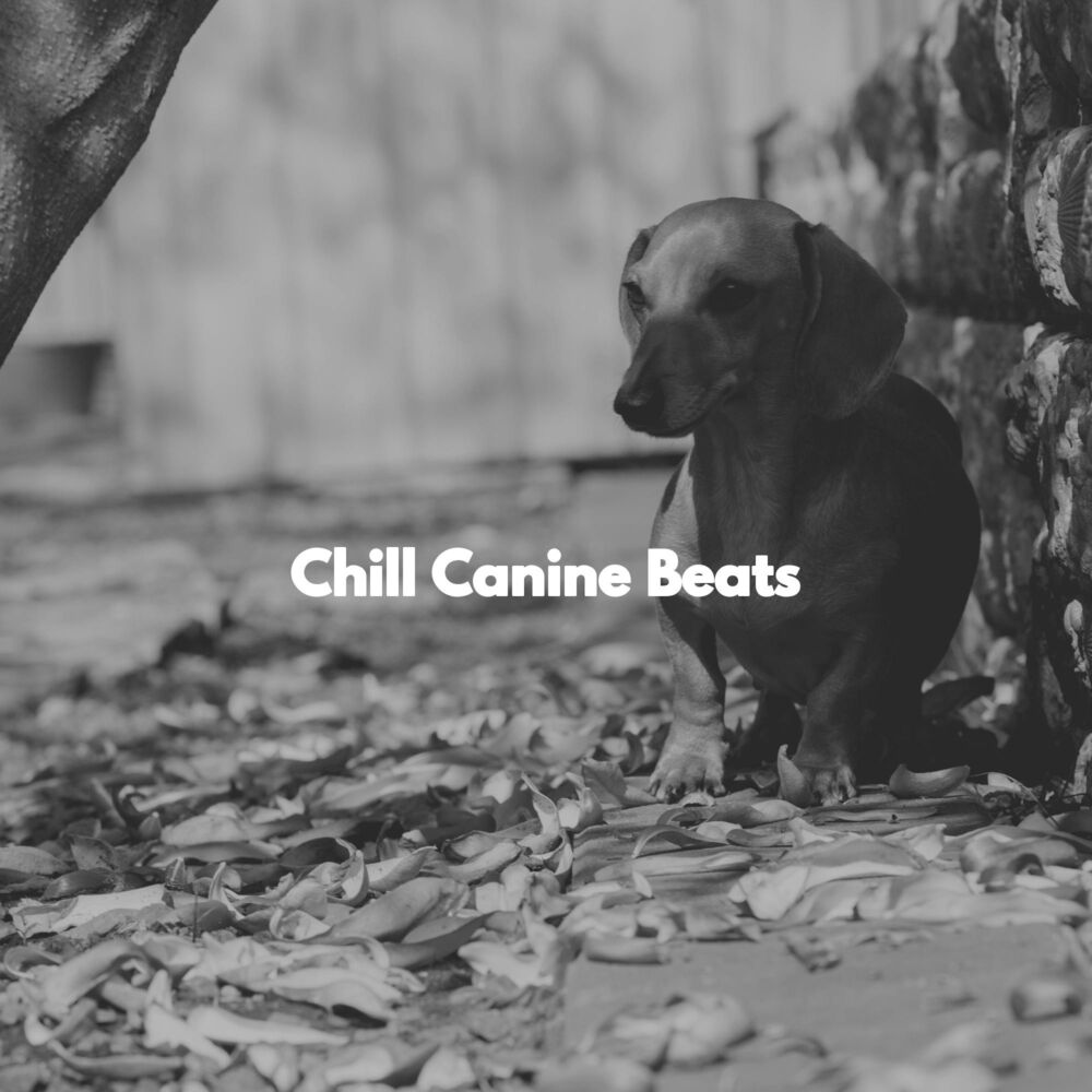 Picture of Chill Canine Beats