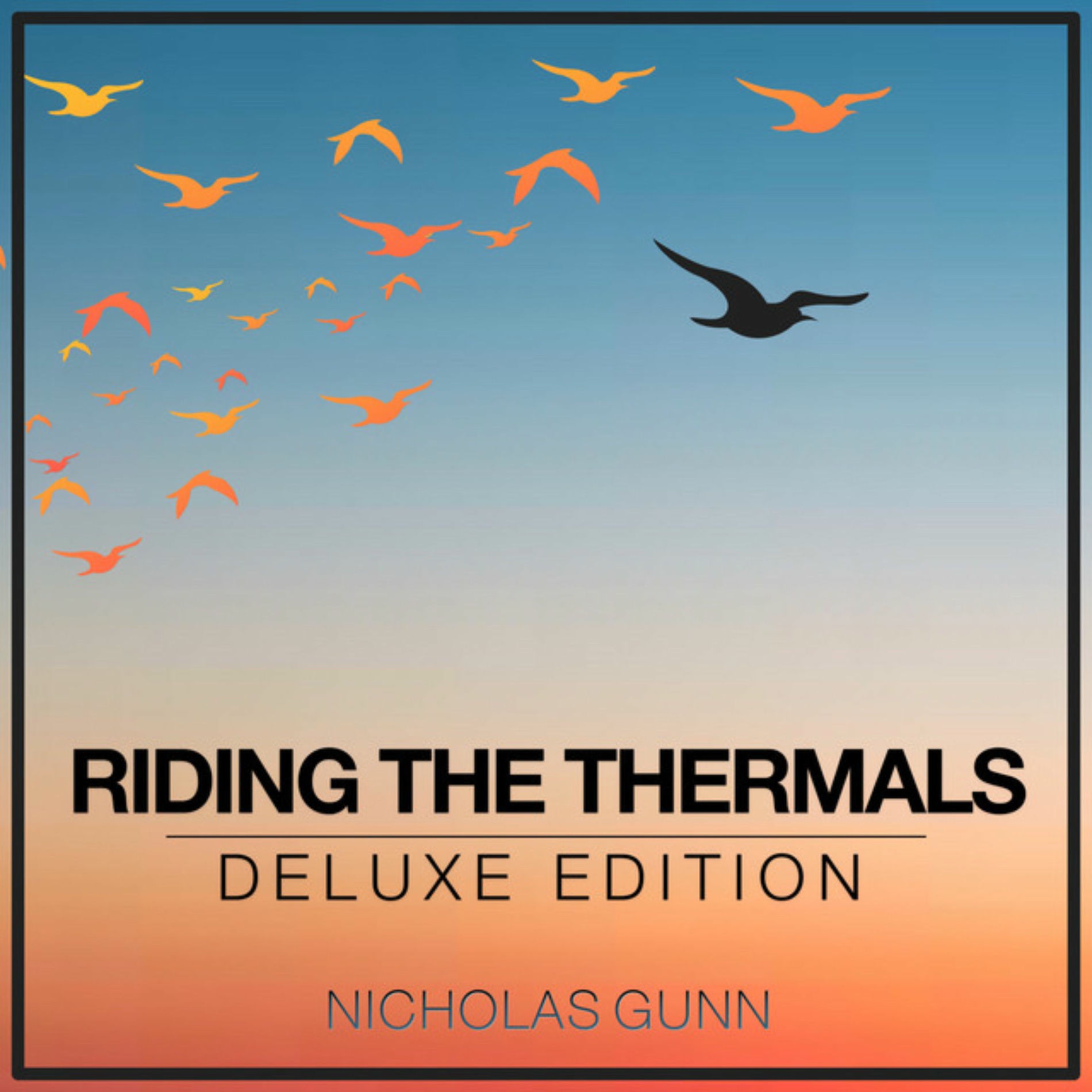 Album cover of Riding the Thermals (Deluxe Edition)