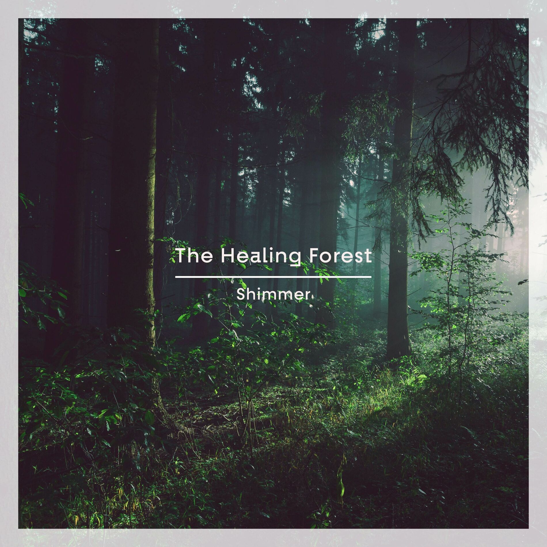 Album cover of The Healing Forest