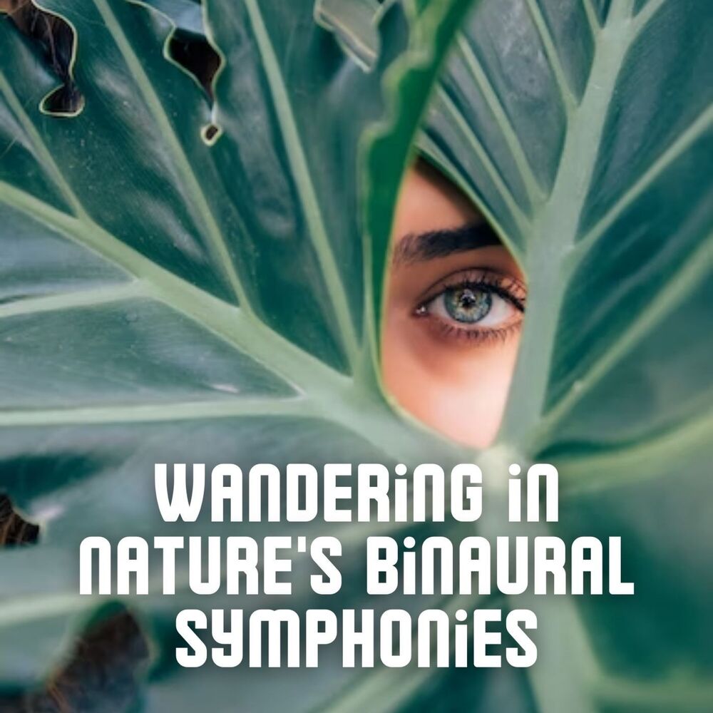 Picture of Wandering in Nature's Binaural Symphonies