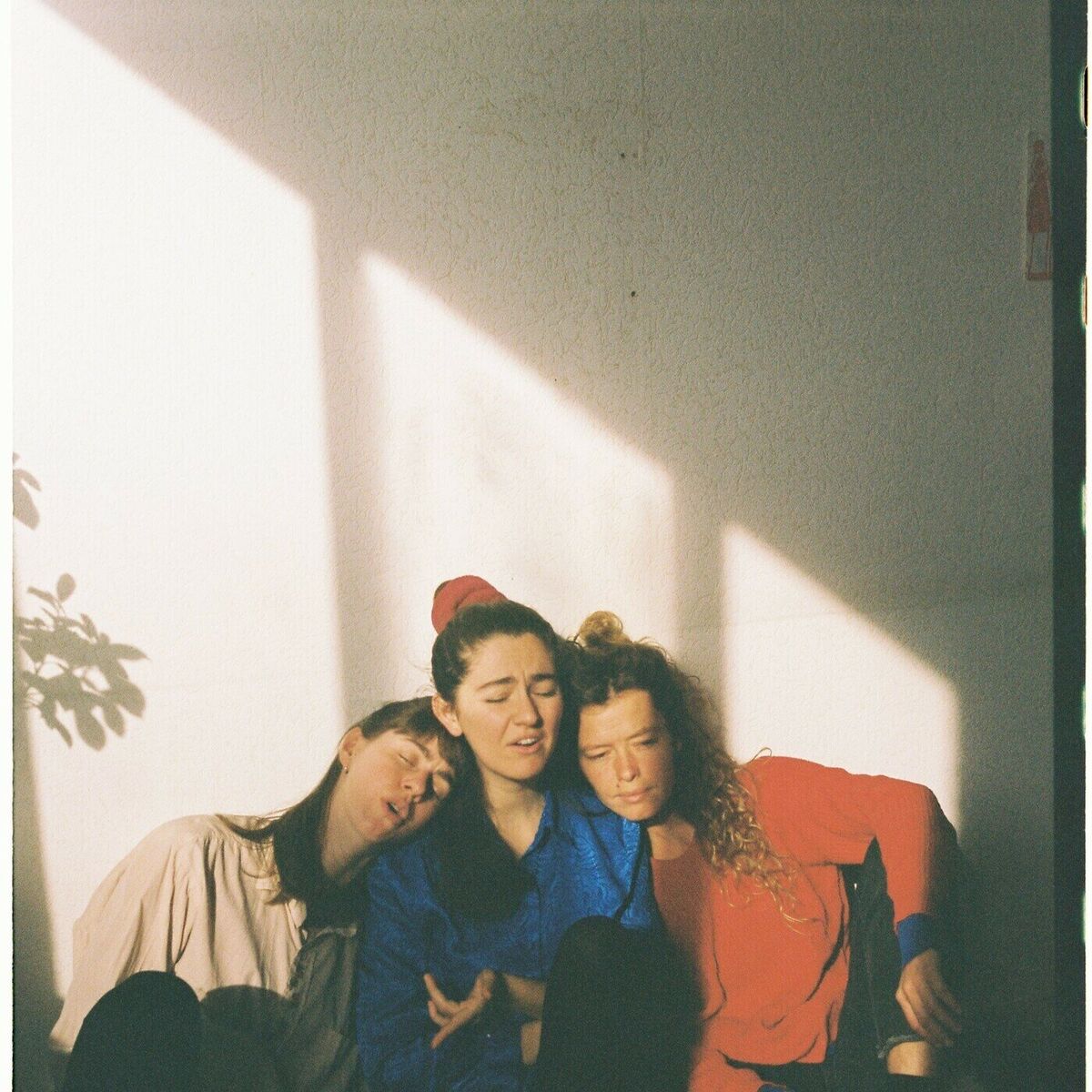 Album cover of Naranjos