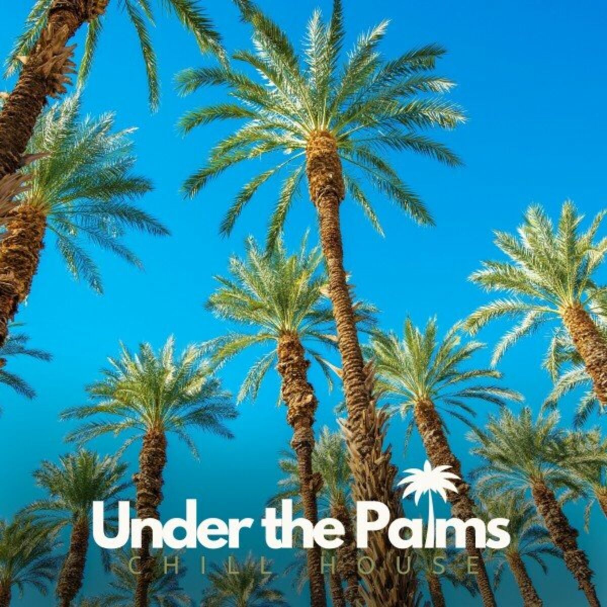 Album cover of Under the Palms: Chillout Lounge Mix