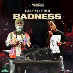 Cover of Badness