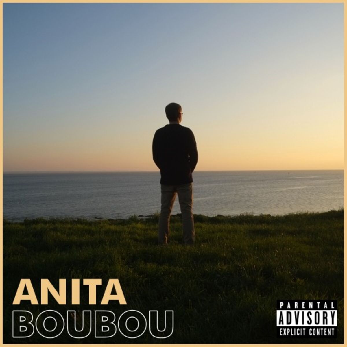Album cover of Anita