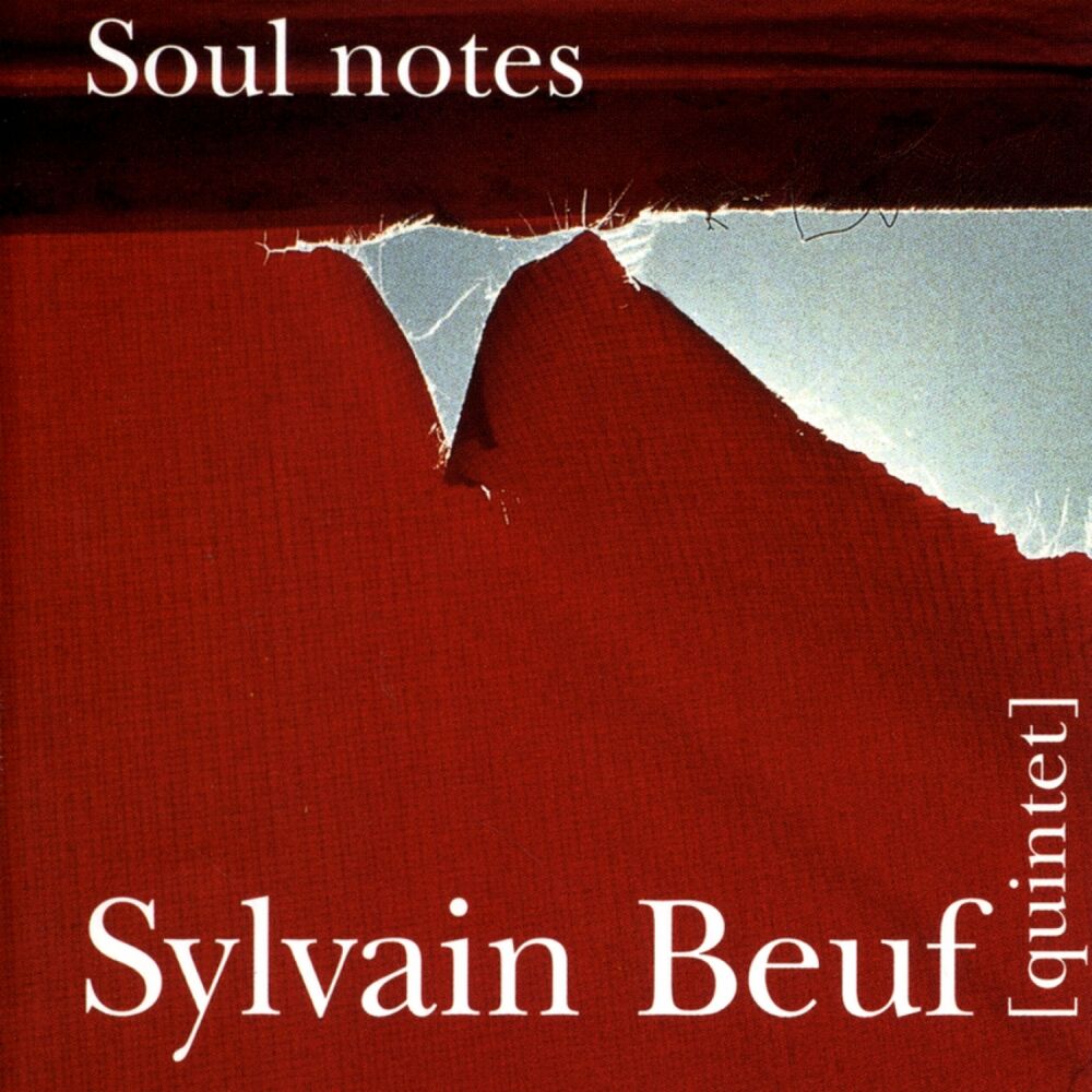 Picture of Soul Notes