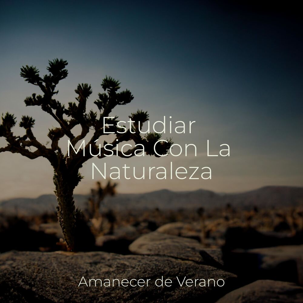 Picture of Estudiar Música Con La Naturaleza