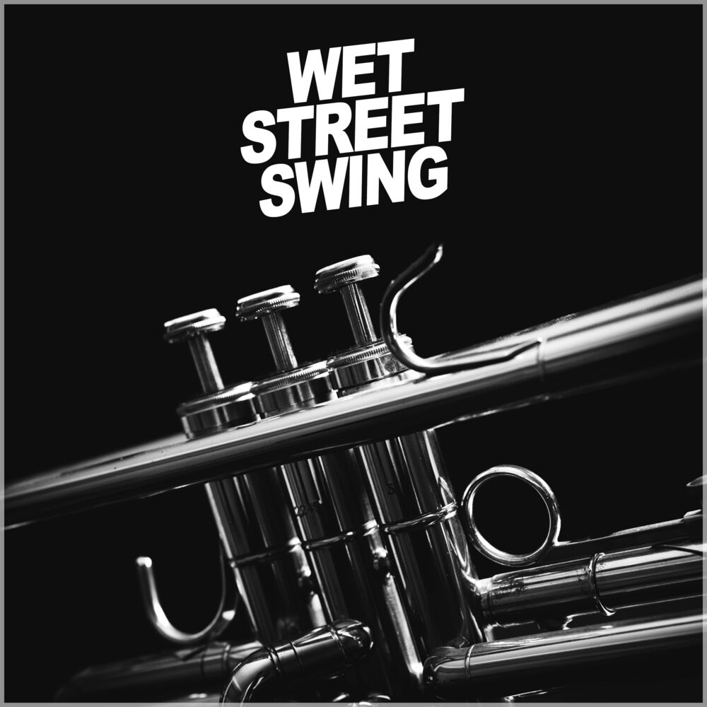 Picture of Wet Street Swing