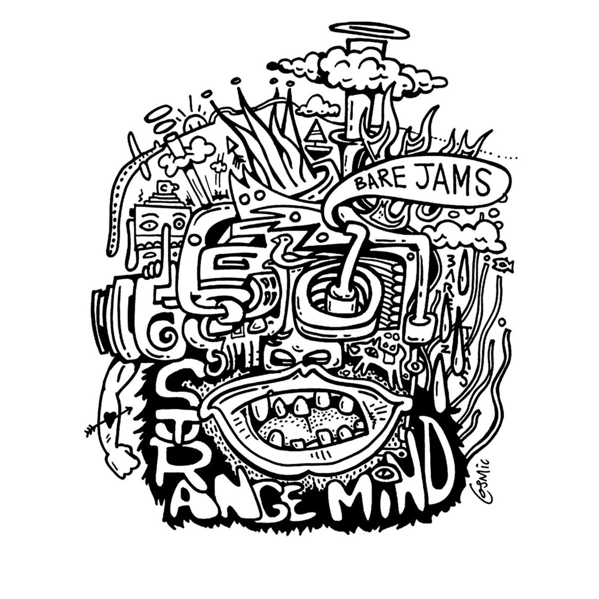 Album cover of Strange Mind