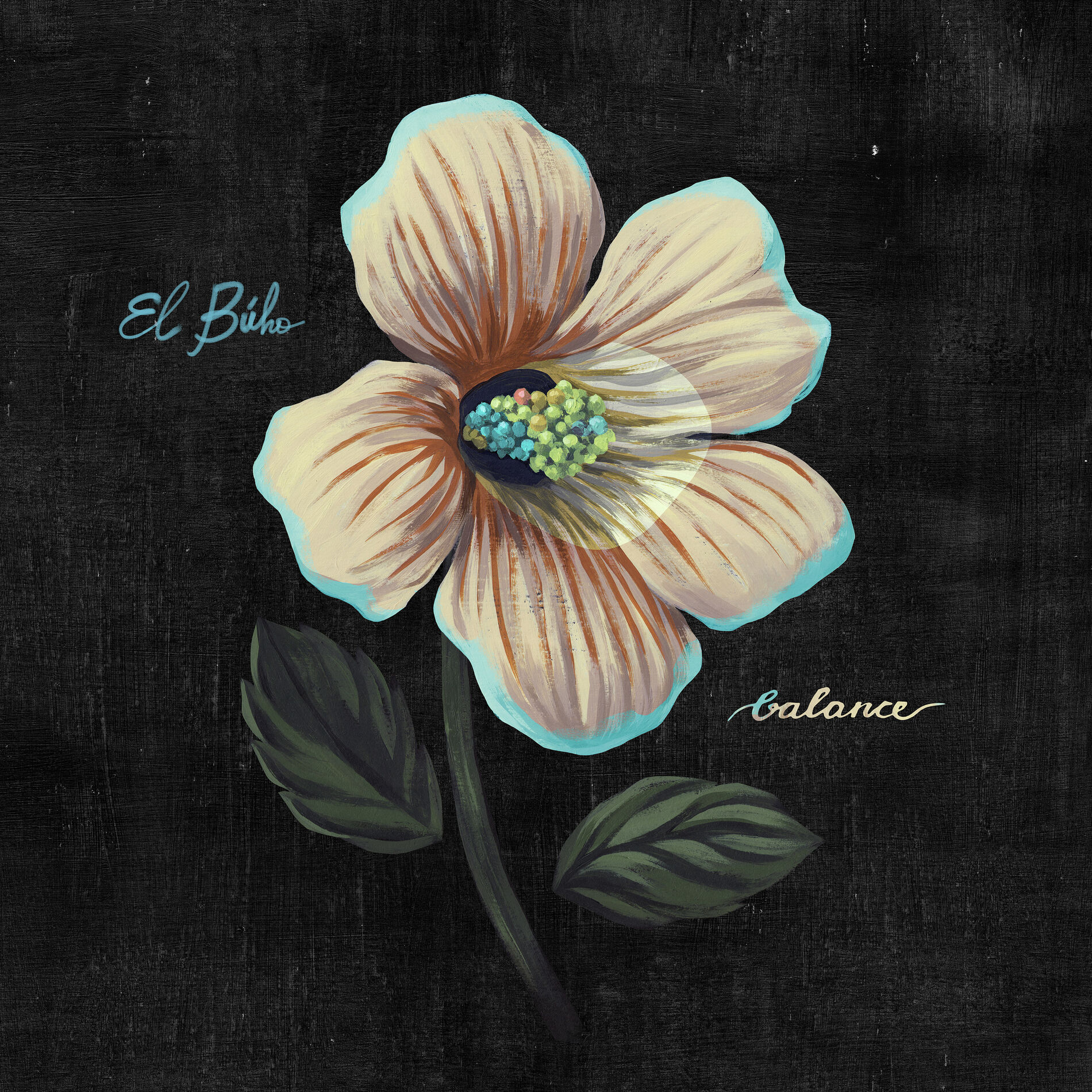 Album cover of Xica Xica