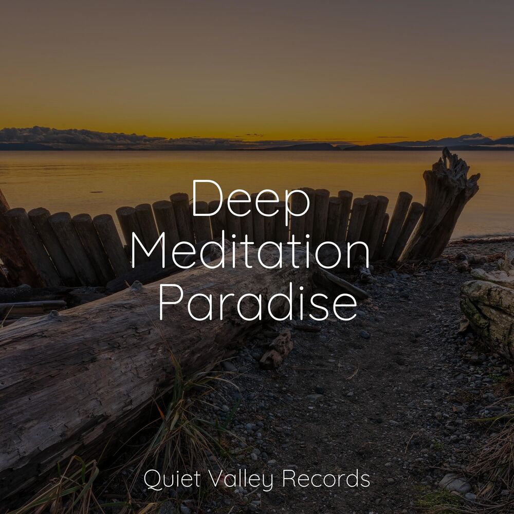 Picture of Deep Meditation Paradise