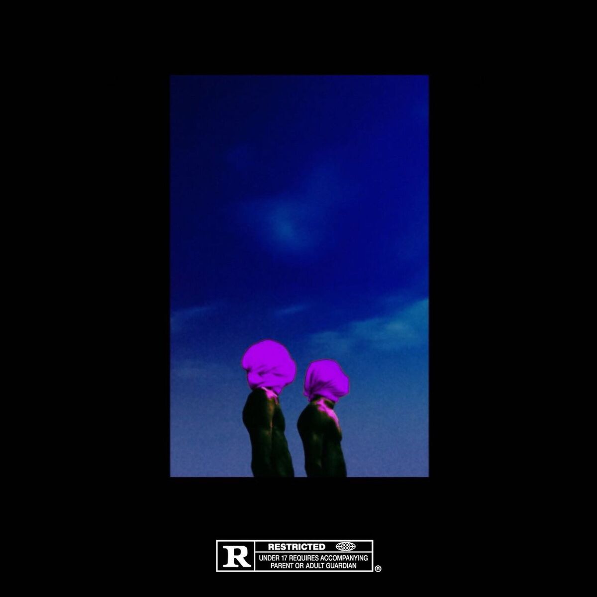 Album cover of FIBONACCI