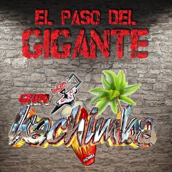 Cover of El Paso del Gigante