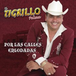 Cover of Por Las Calles Enlodadas