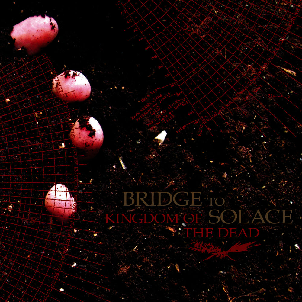 Picture of Kingdom of the Dead