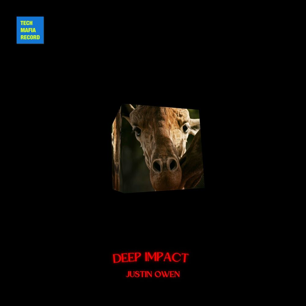 Picture of Deep Impact