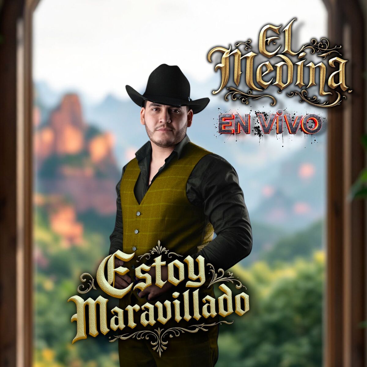 Album cover of Estoy Maravillado (En Vivo)