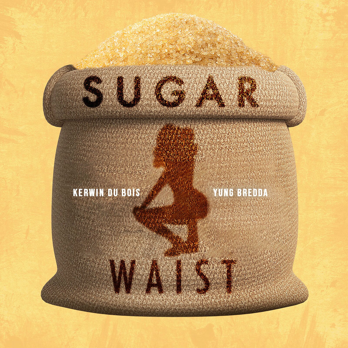 Album cover of Sugar Waist