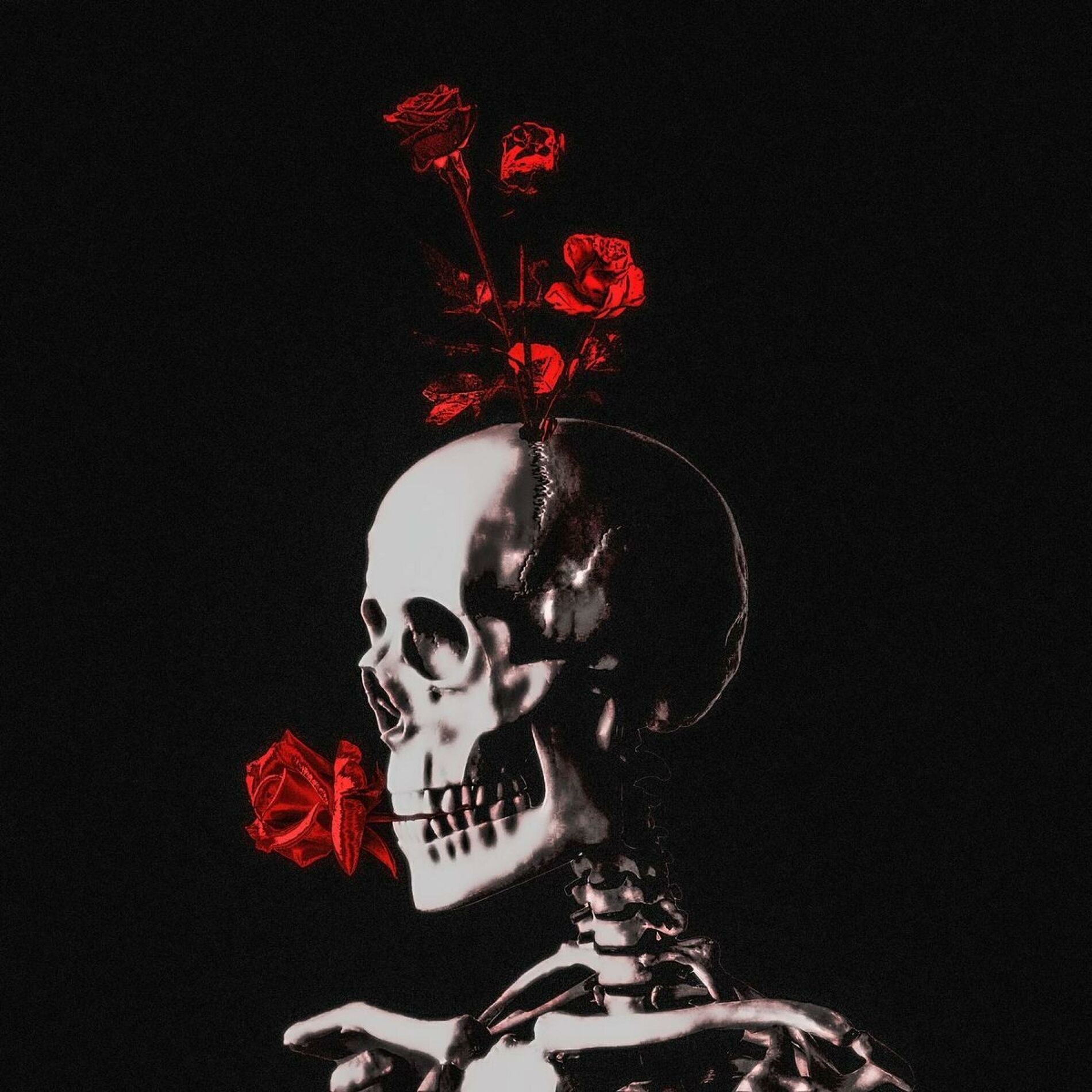 Album cover of Somebody Told Me