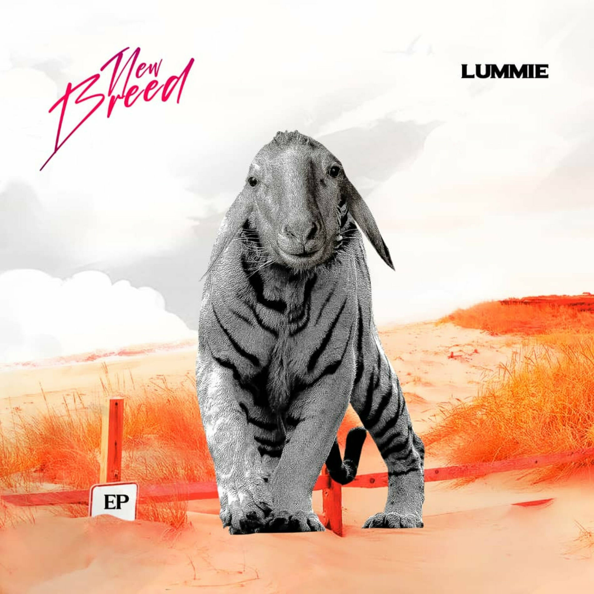 Album cover of New Breed