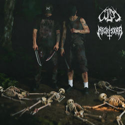 Cover of CHOSEN ONES by undefined