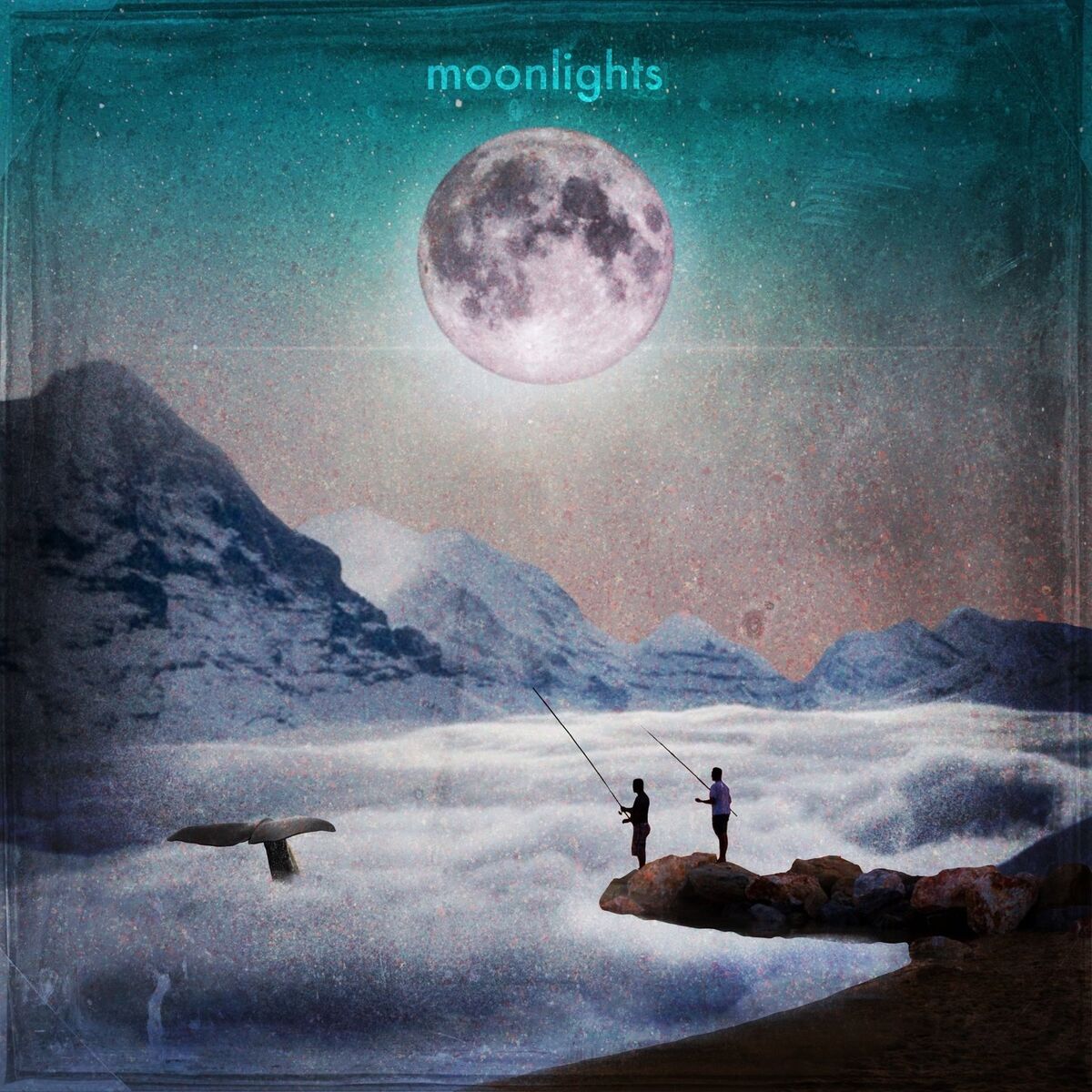 Album cover of moonlights