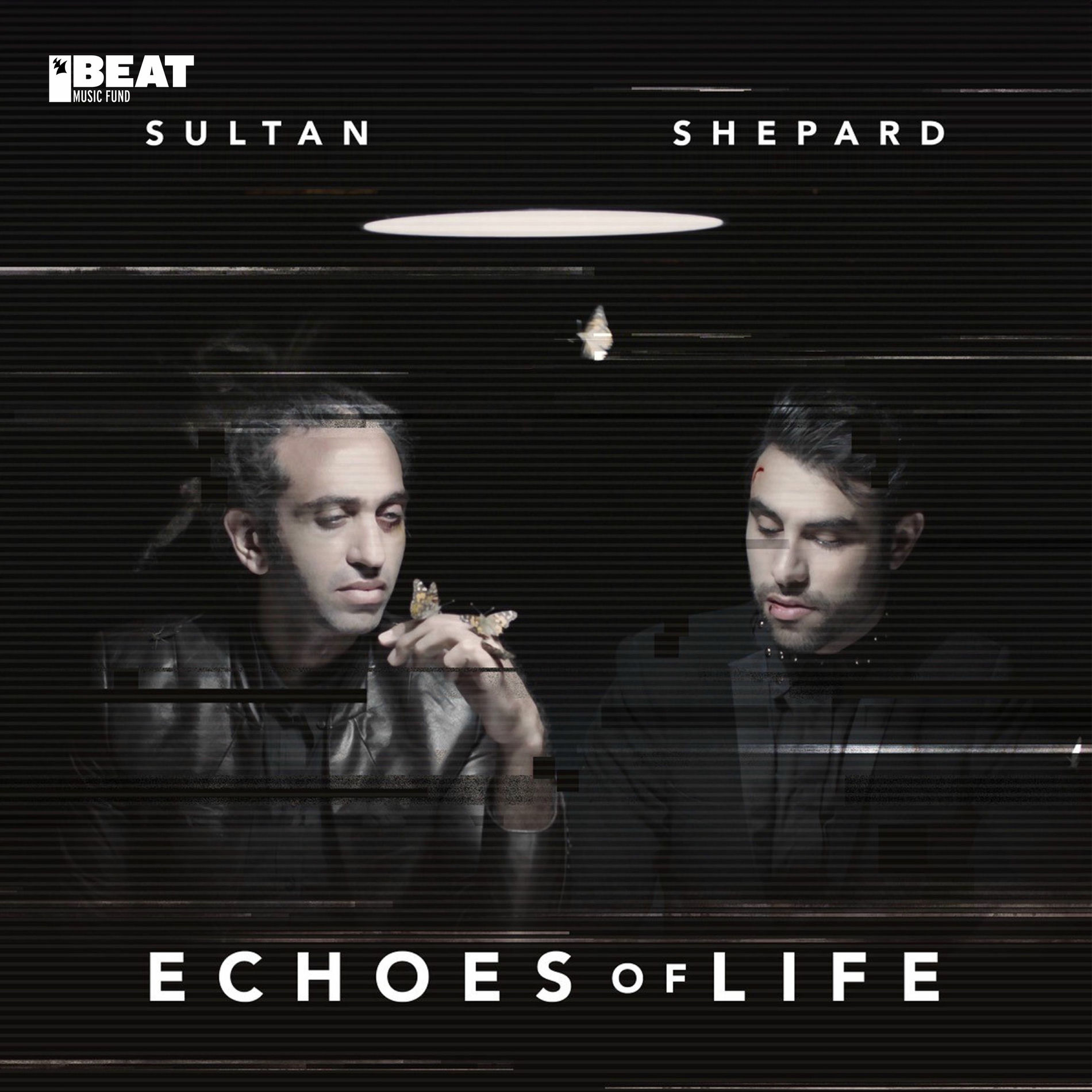 Album cover of Echoes Of Life: Day