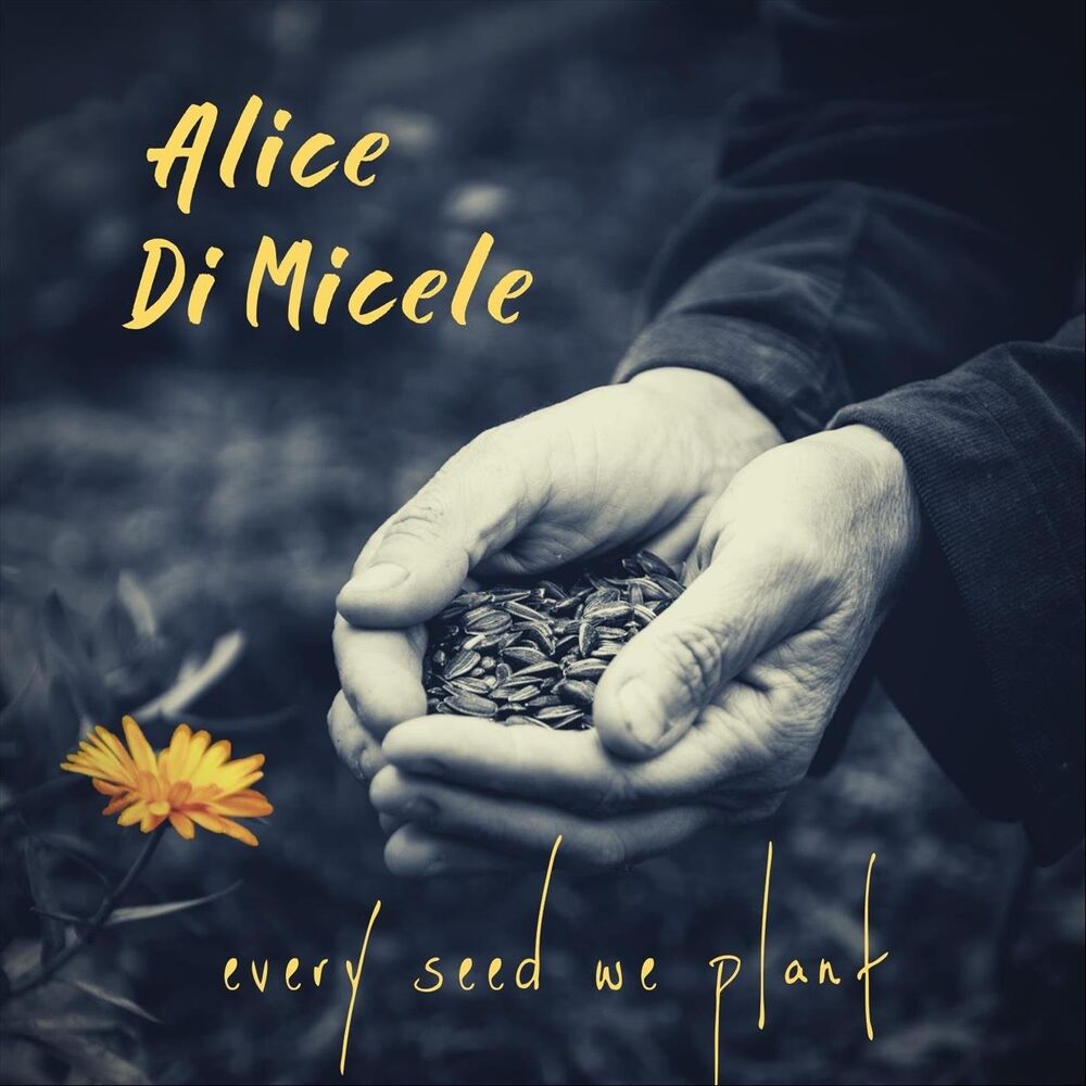 Picture of Every Seed We Plant