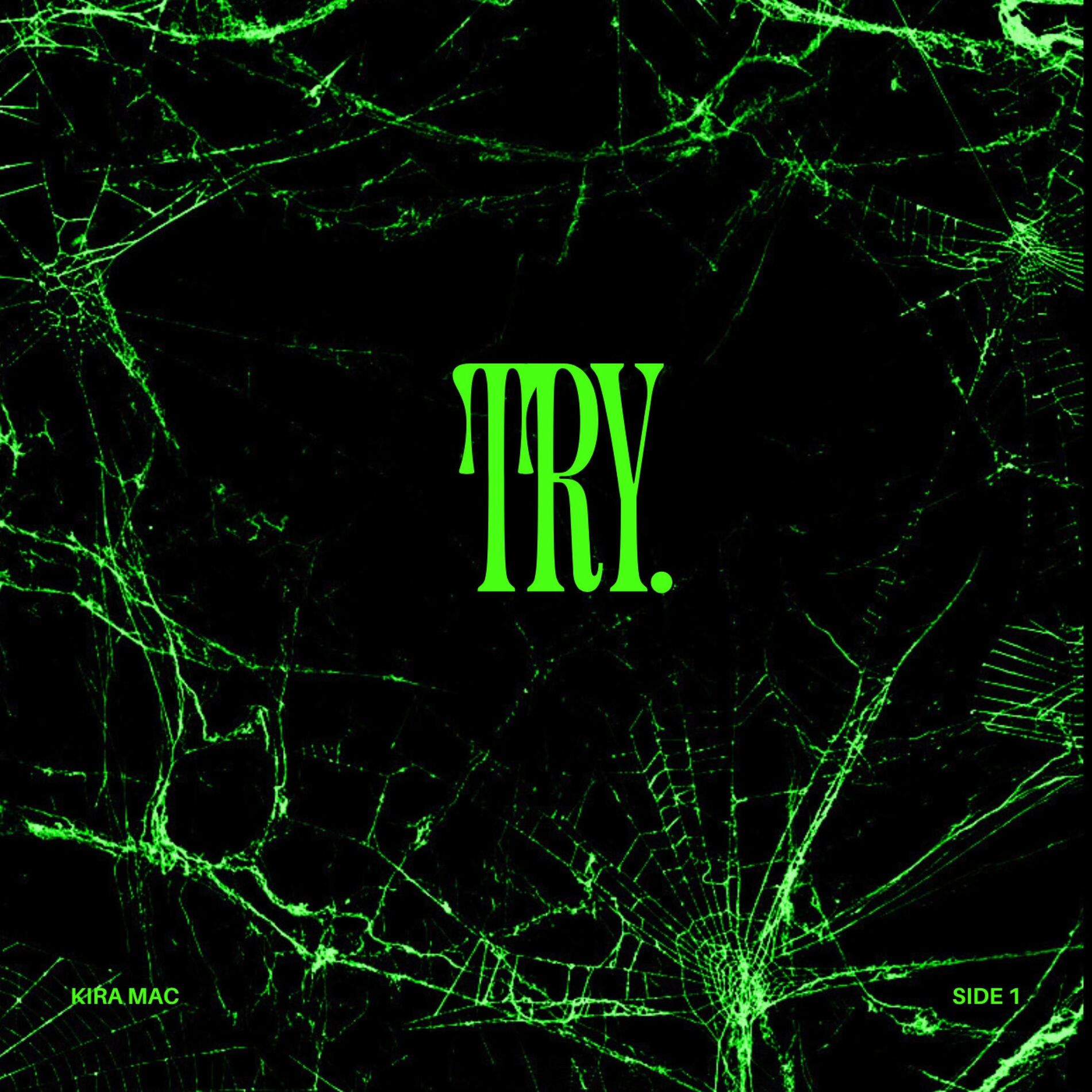 Album cover of Try