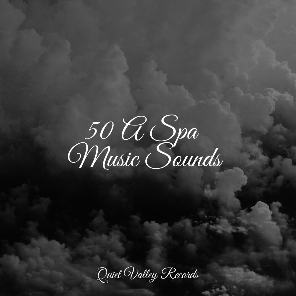 Picture of 50 A Spa Music Sounds