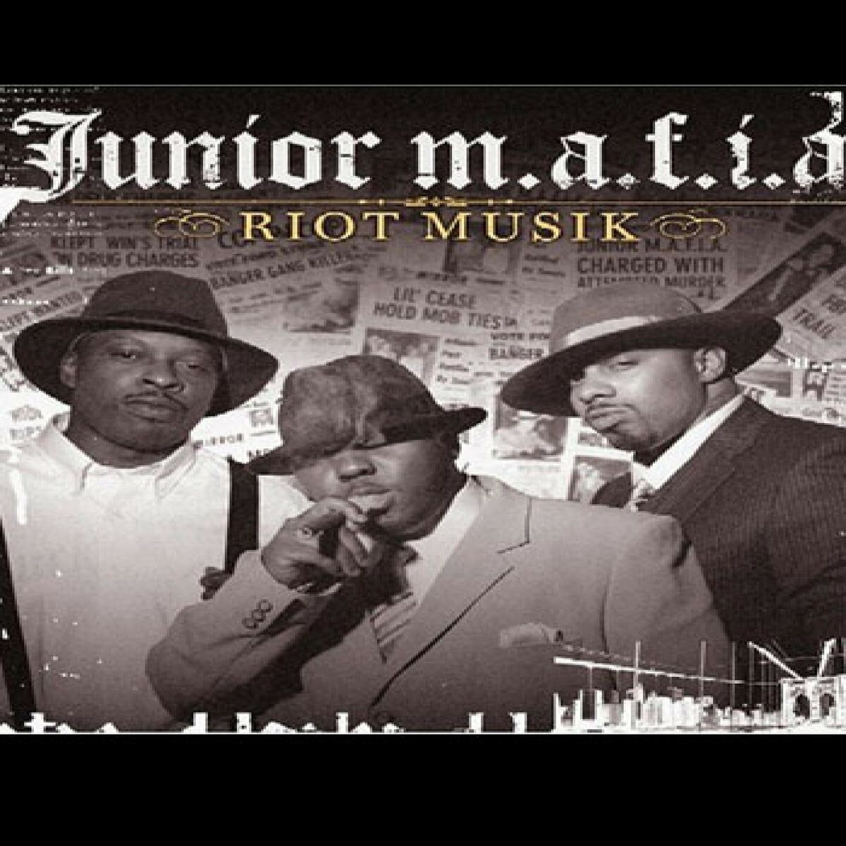 Album cover of Riot Musik