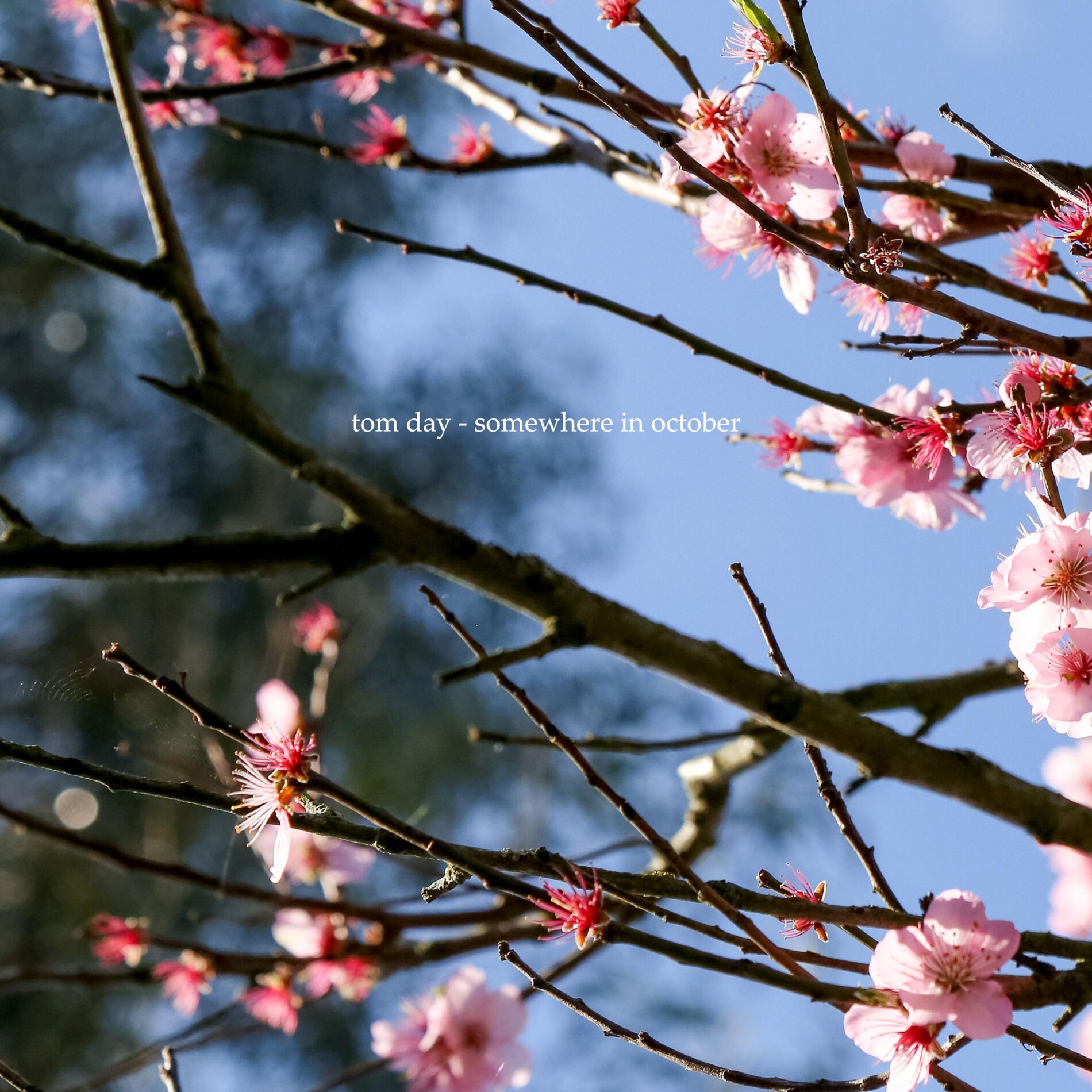 Album cover of Somewhere in October