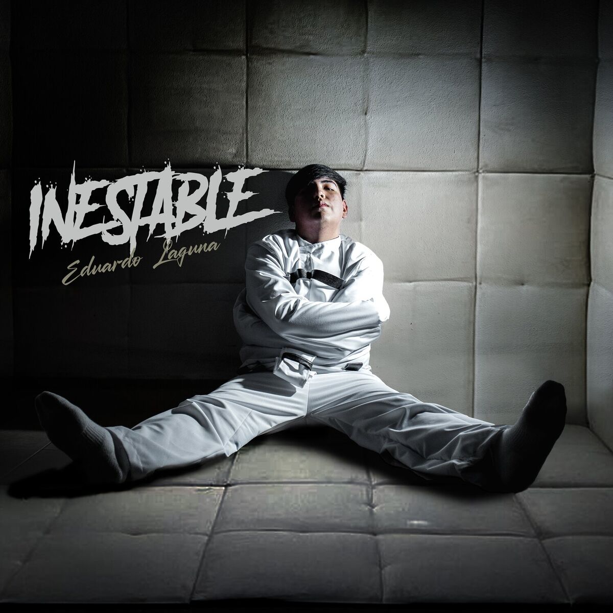 Album cover of Inestable