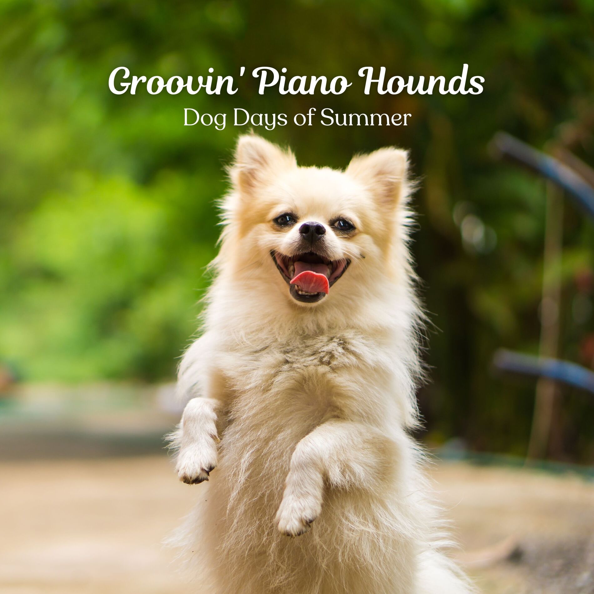 Album cover of Groovin' Piano Hounds: Dog Days of Summer