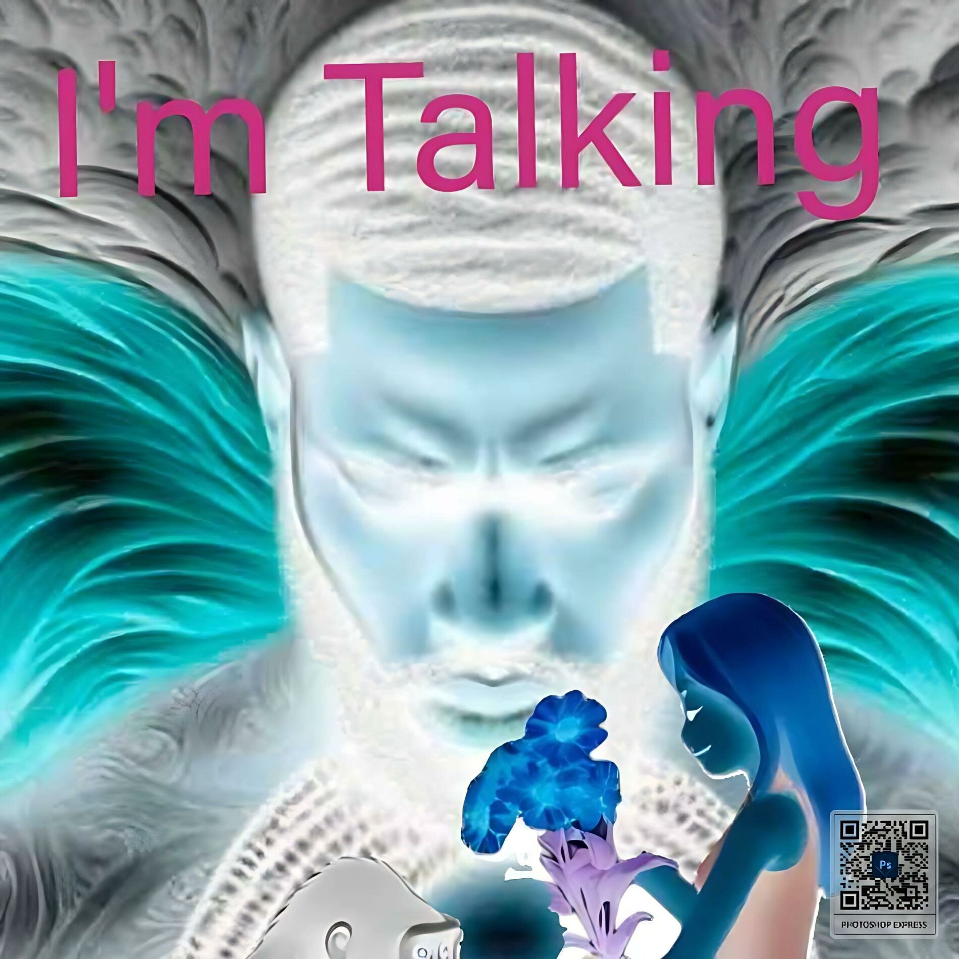Album cover of Im Talking (feat. Panda & JME JUNGLEMAN)