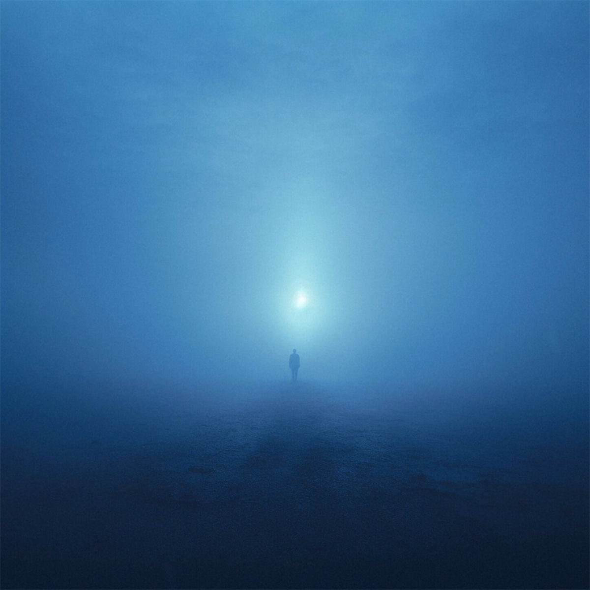 Album cover of evolve