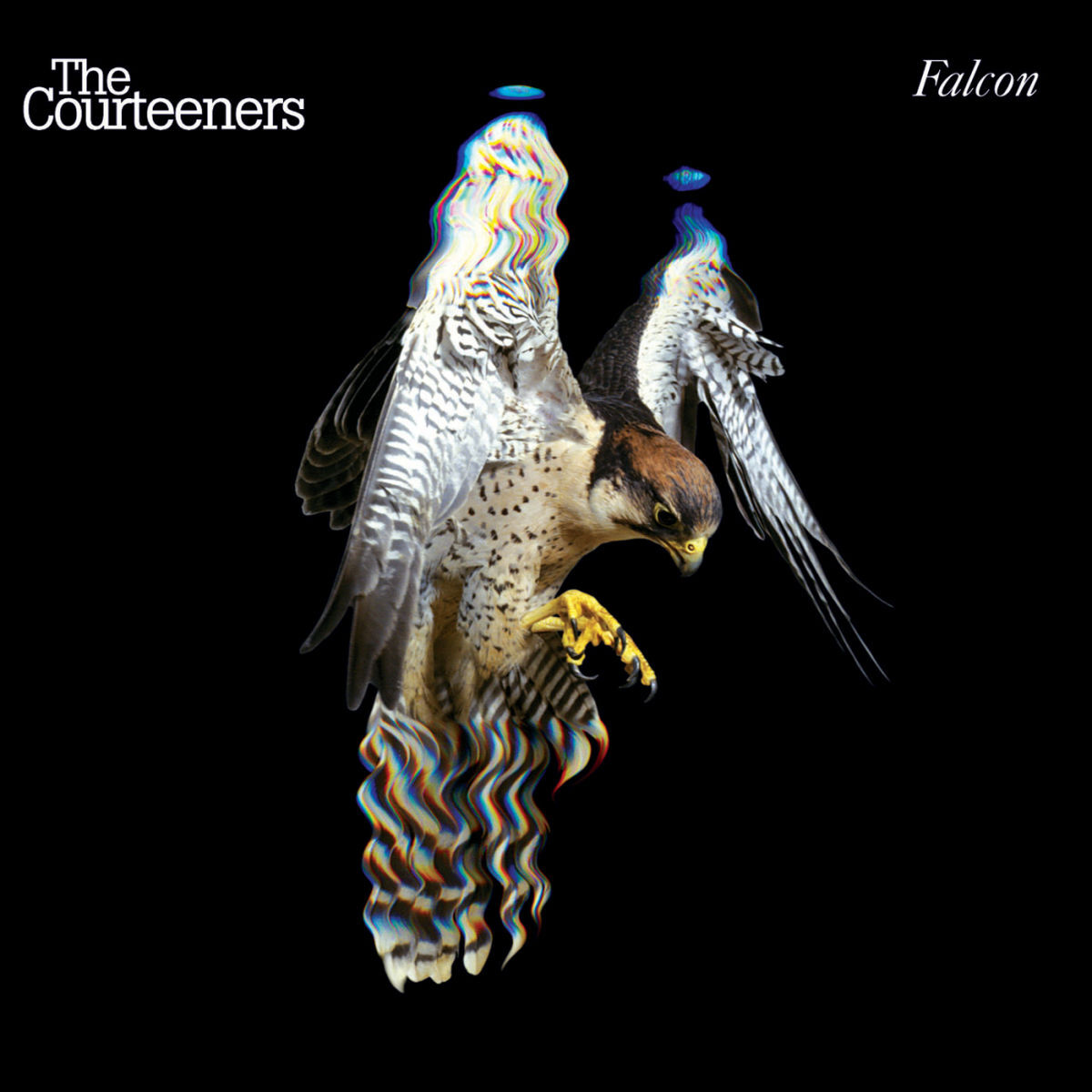 Album cover of Falcon