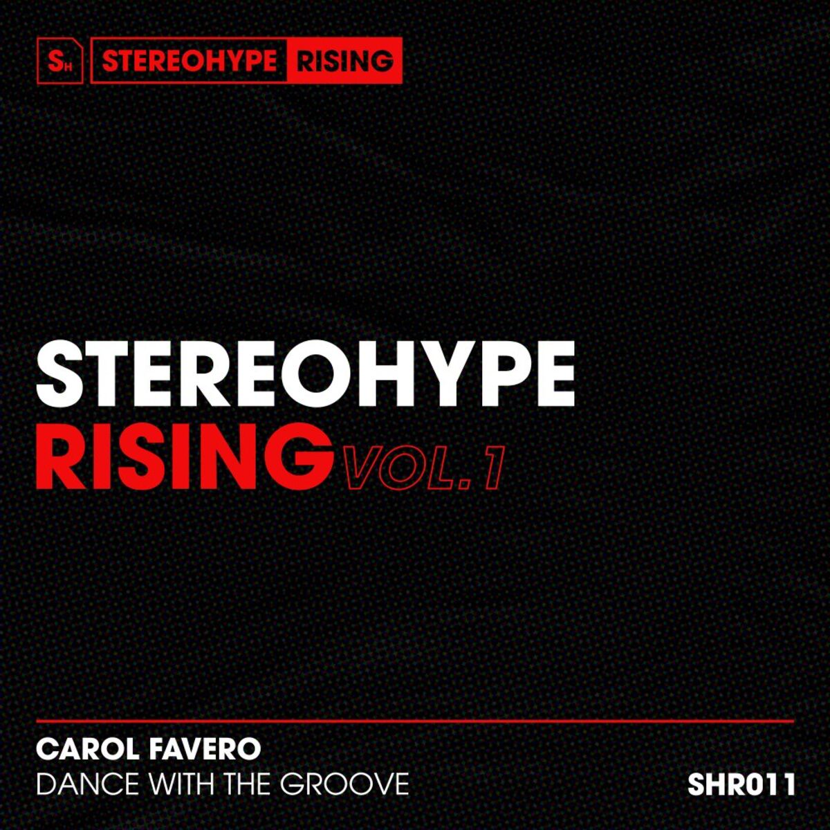 Album cover of Dance With The Groove (Radio Edit)