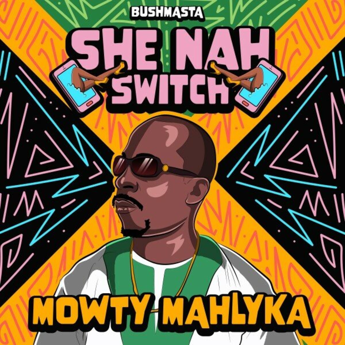 Album cover of She Nah Switch
