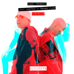Cover of Olvidate