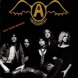 Cover of Get Your Wings