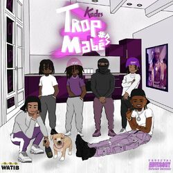 Cover of Trop mabé 3