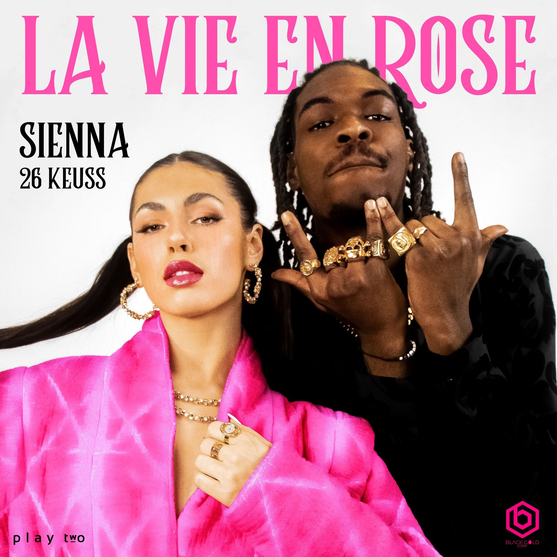 Album cover of LA VIE EN ROSE