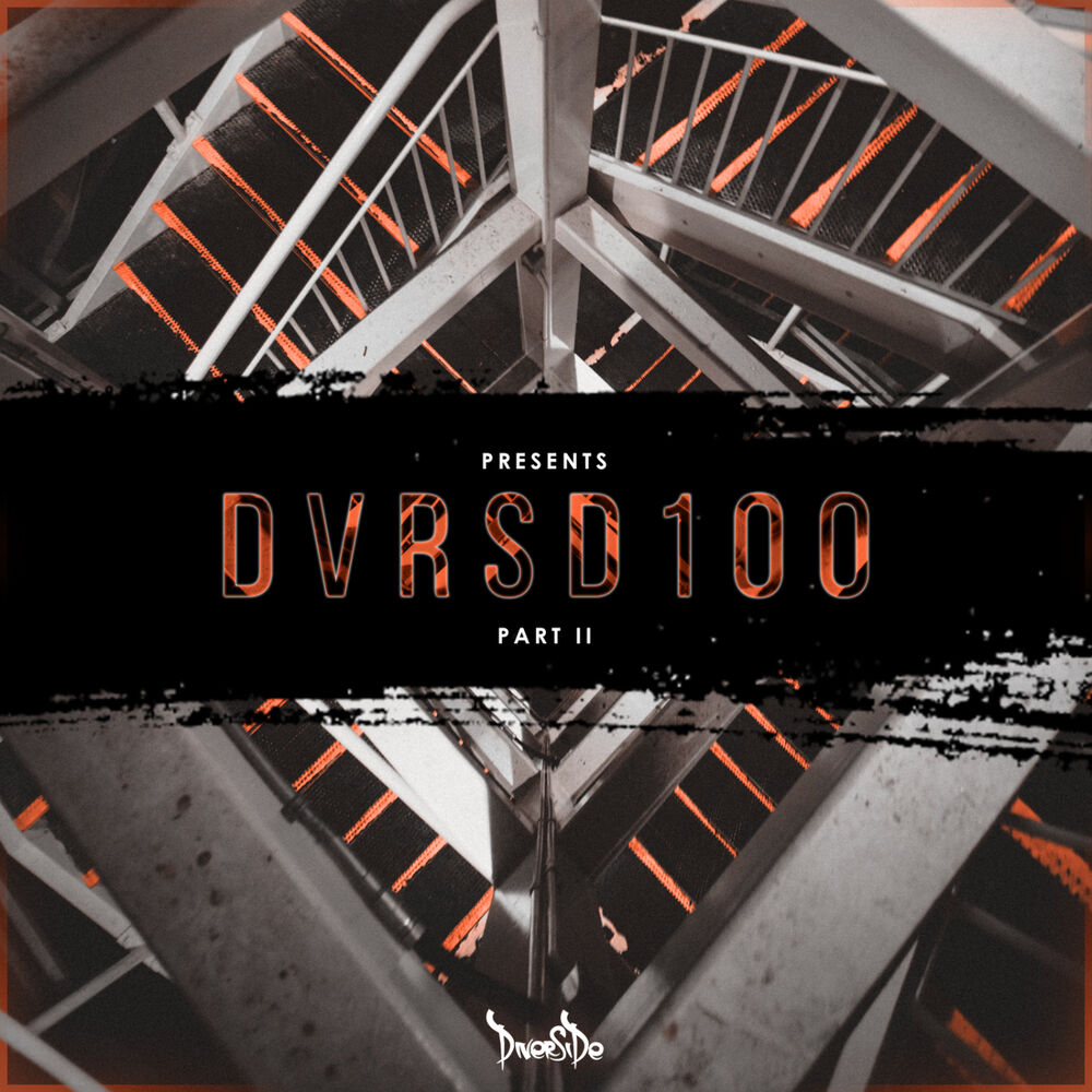Picture of Diverside Present's DVRSD100 (Part II)