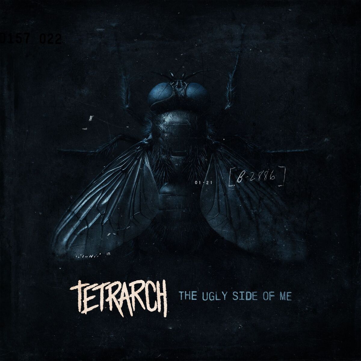 Album cover of Best Of Luck